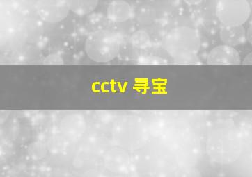 cctv 寻宝